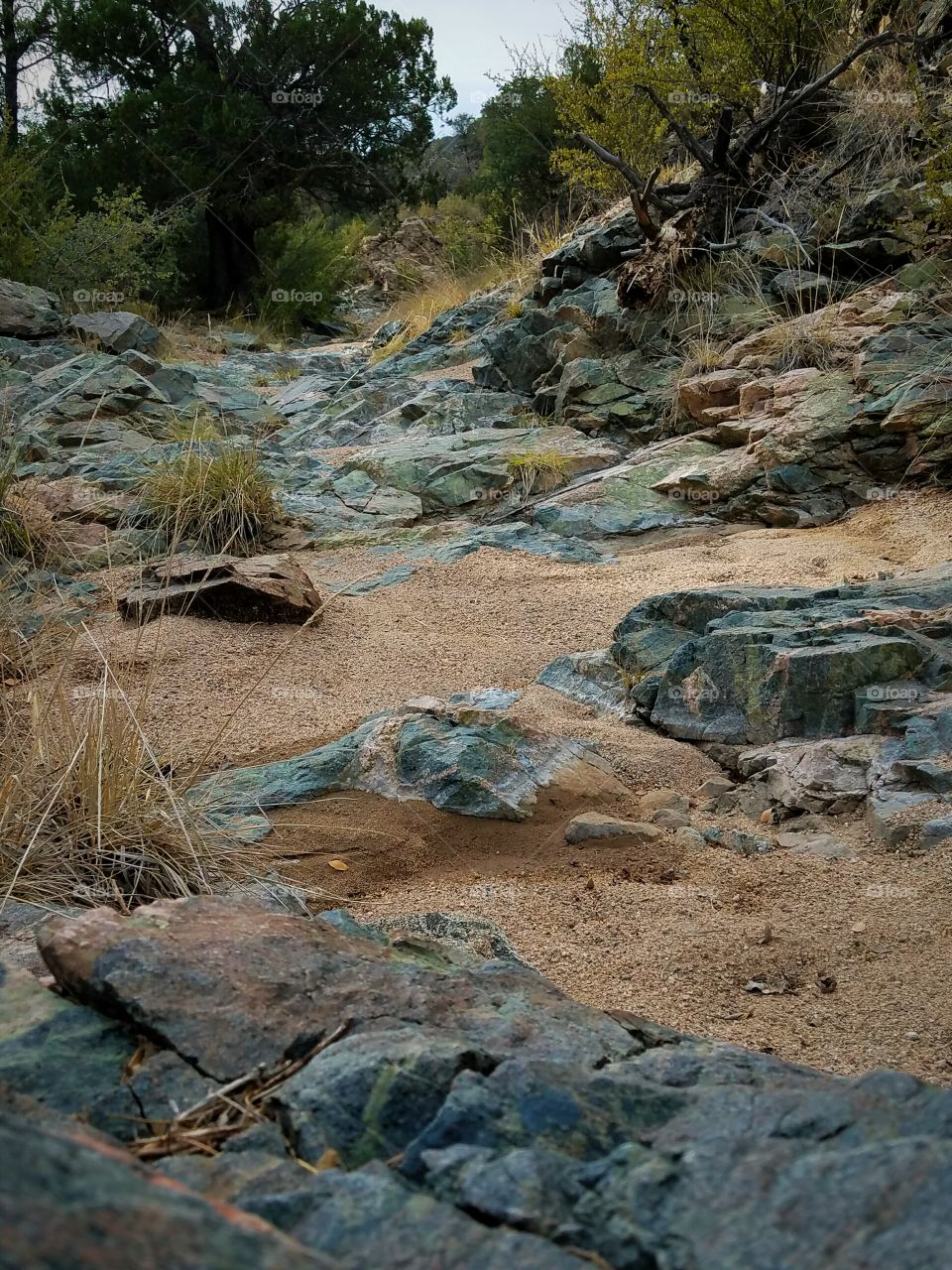 Dry creek bed Arizona