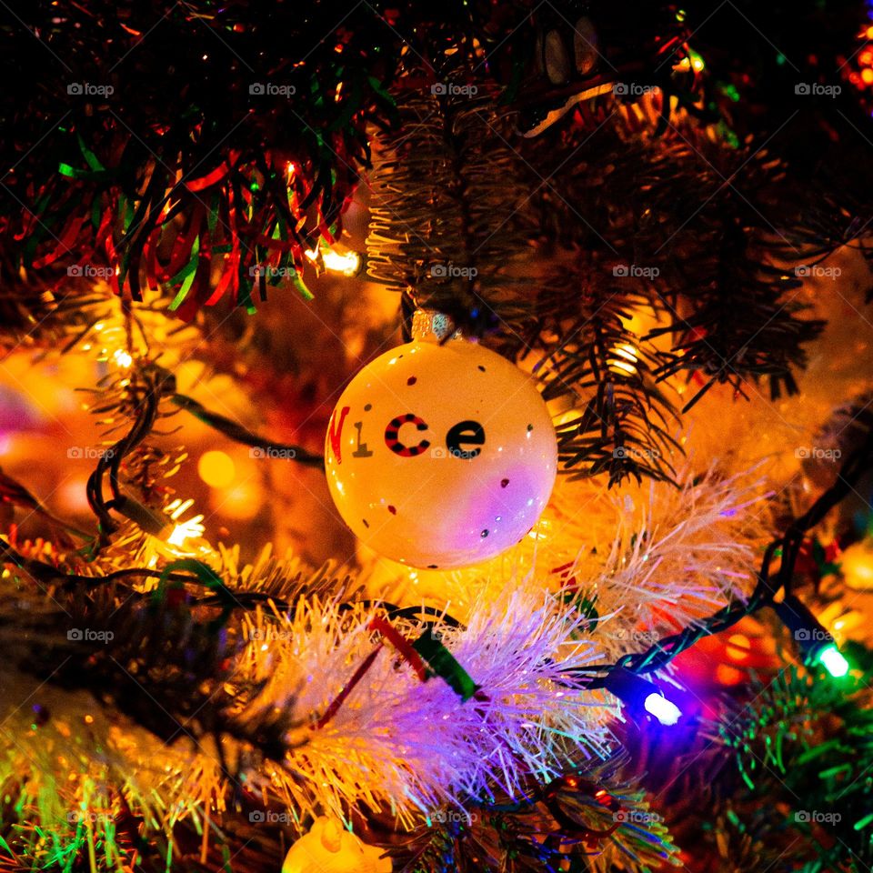 Nice ornament spotted in the tree.