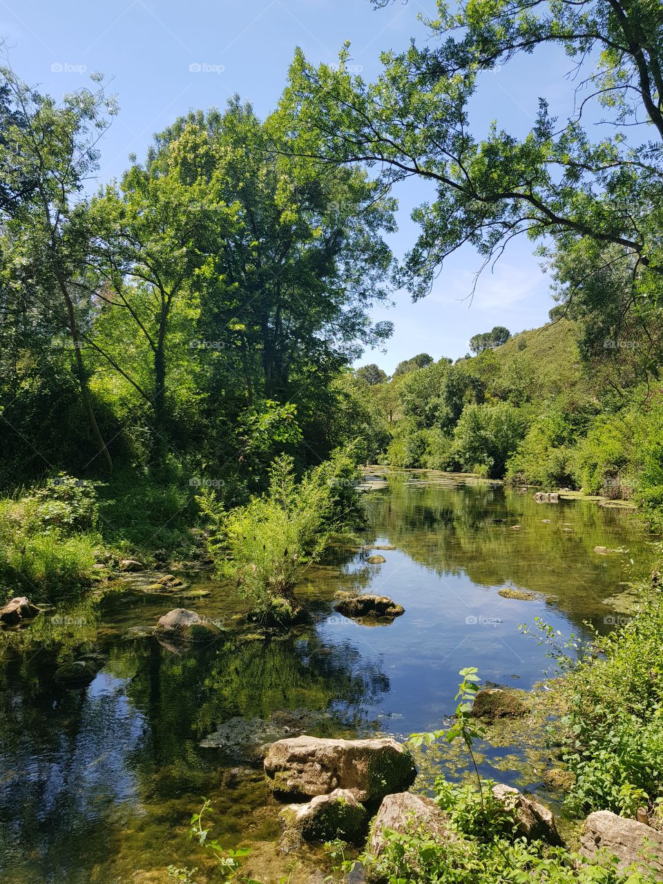 lake,in the nature, summer time 😉🌞🌞🌞😉😉😉