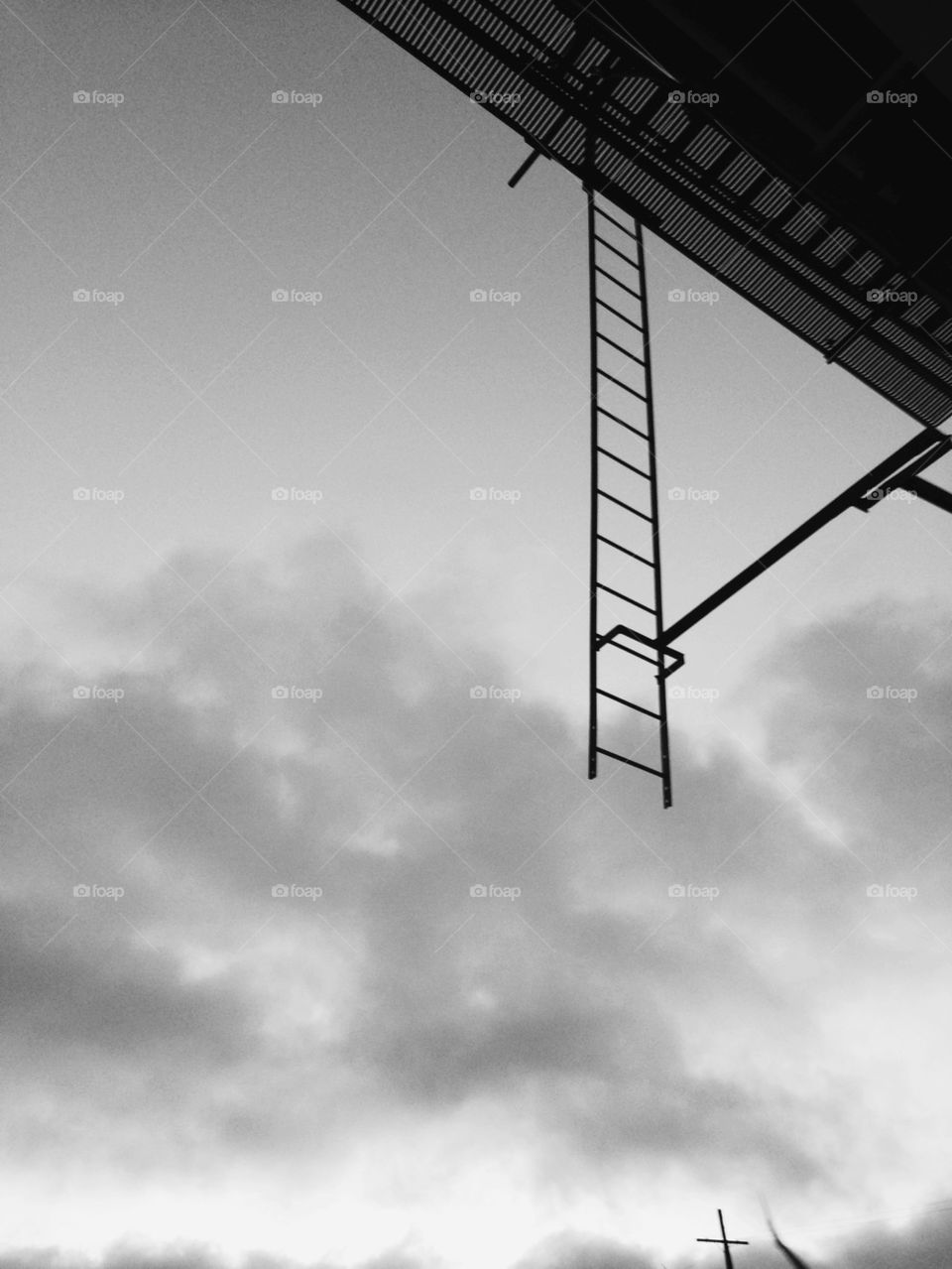 Ladder to the Sky