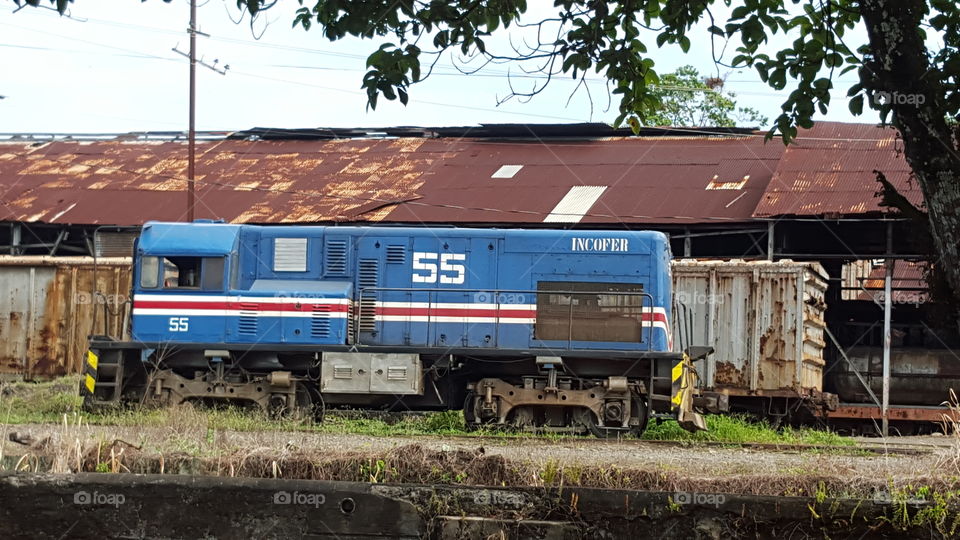 Train in Limón