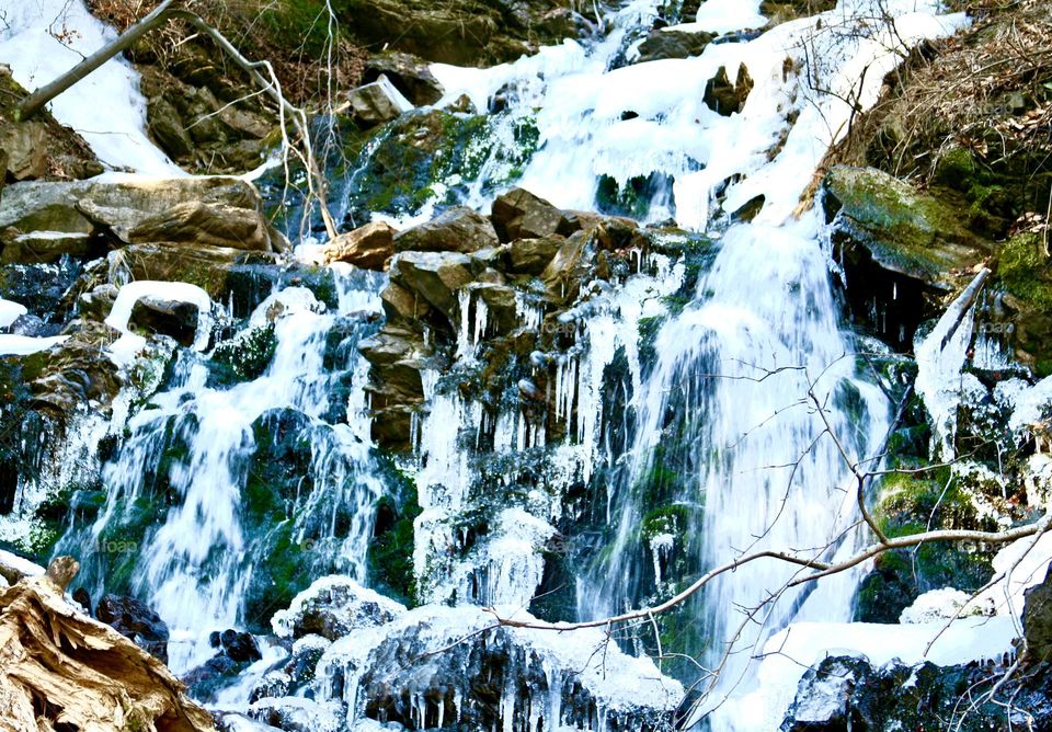 Горы Карпаты! Повсюду несутся з гор большие и малые реки и ручьи 