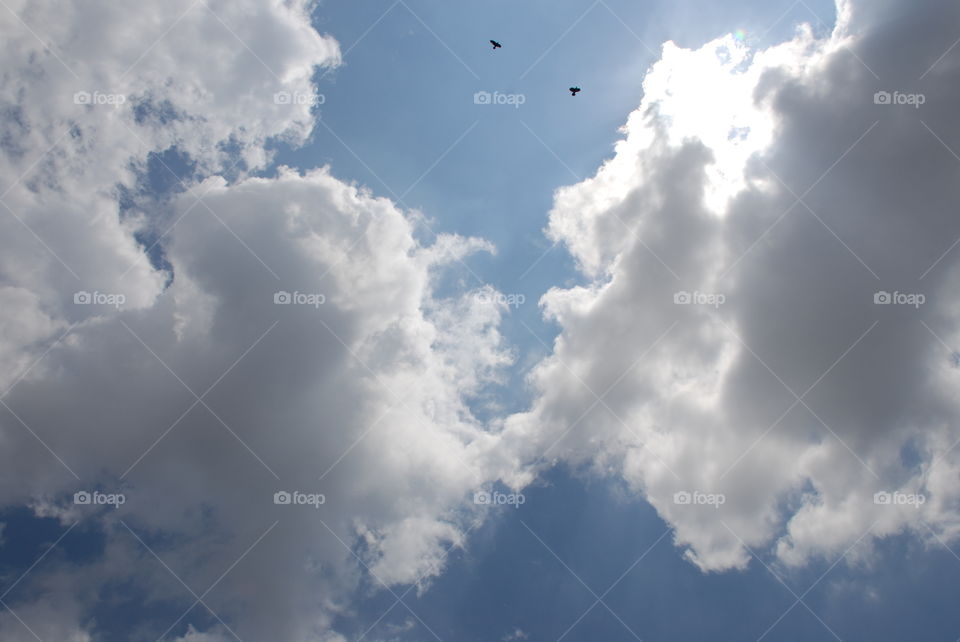 Sky. Clouds. Two birds. 