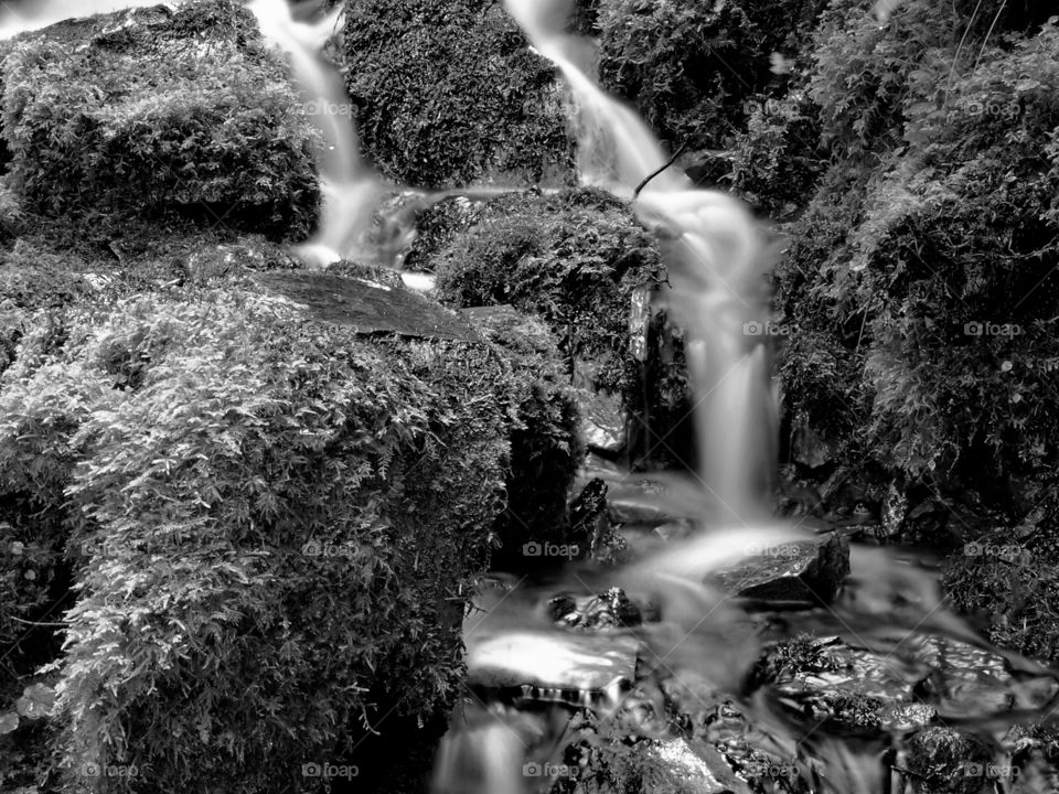 Smooth flowing Proxy Falls off of the Old McKenzie Highway in Western Oregon's Cascade Mountains running through moss covered rocks on a fall day.