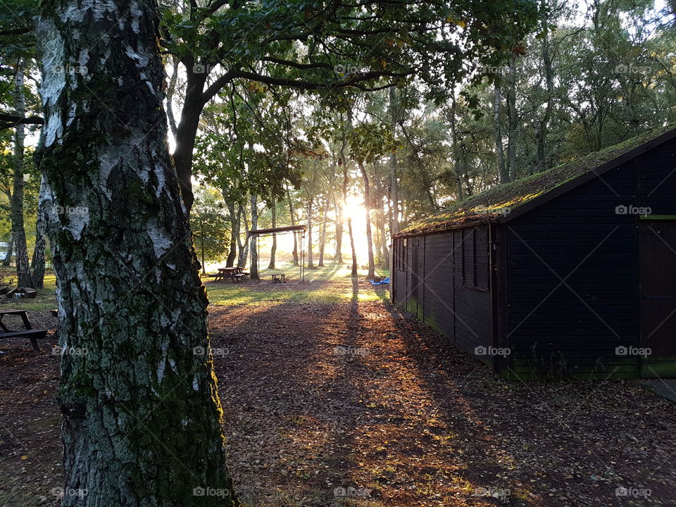 Camping out in the forest, waking up to a beautiful sunrise. Morning due on the grass and the sunlight hitting through the leaves.