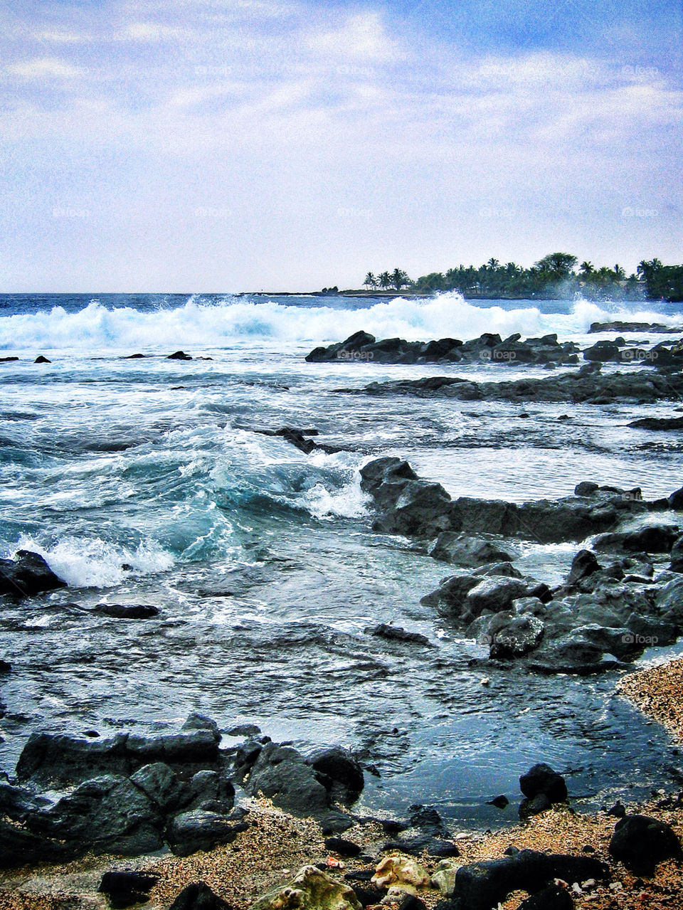KONA SHORELINE
