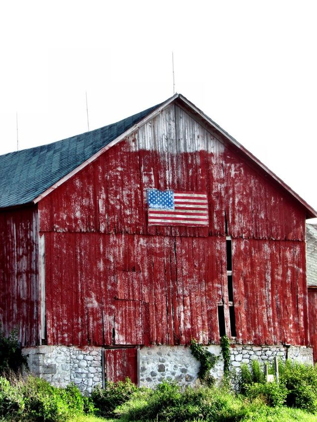 Rustic Wonders