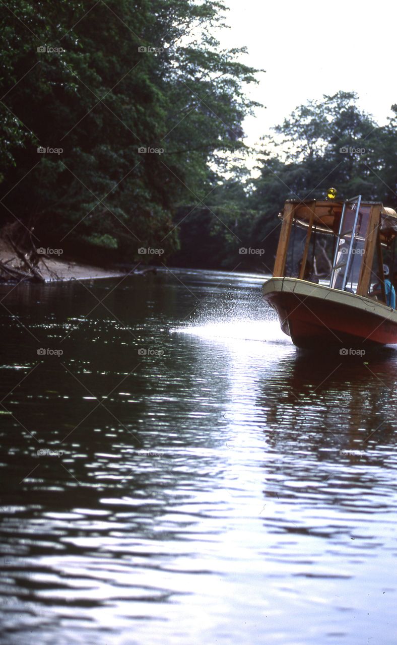 River boat action tropical