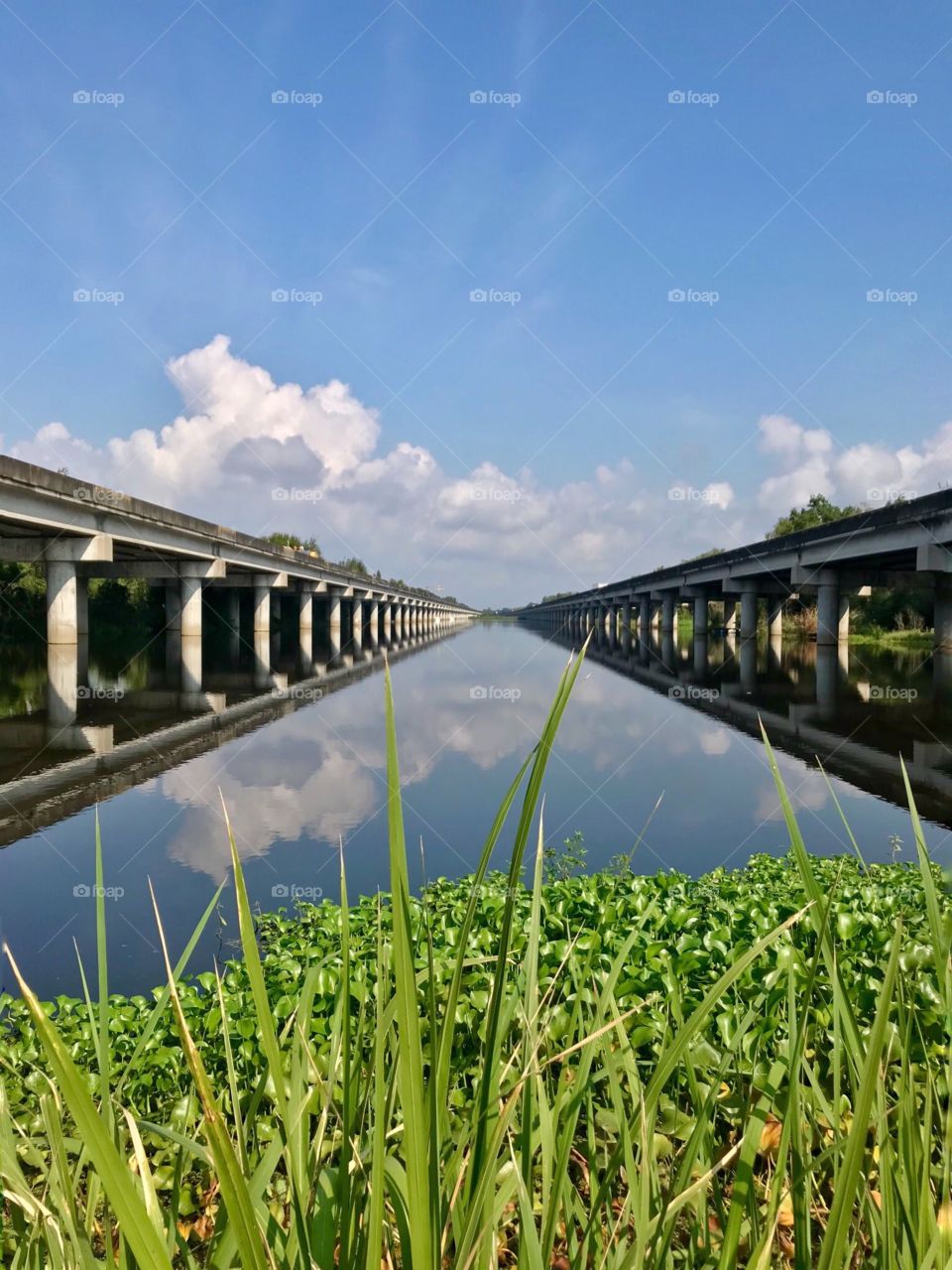 I-55 bridge through swamp