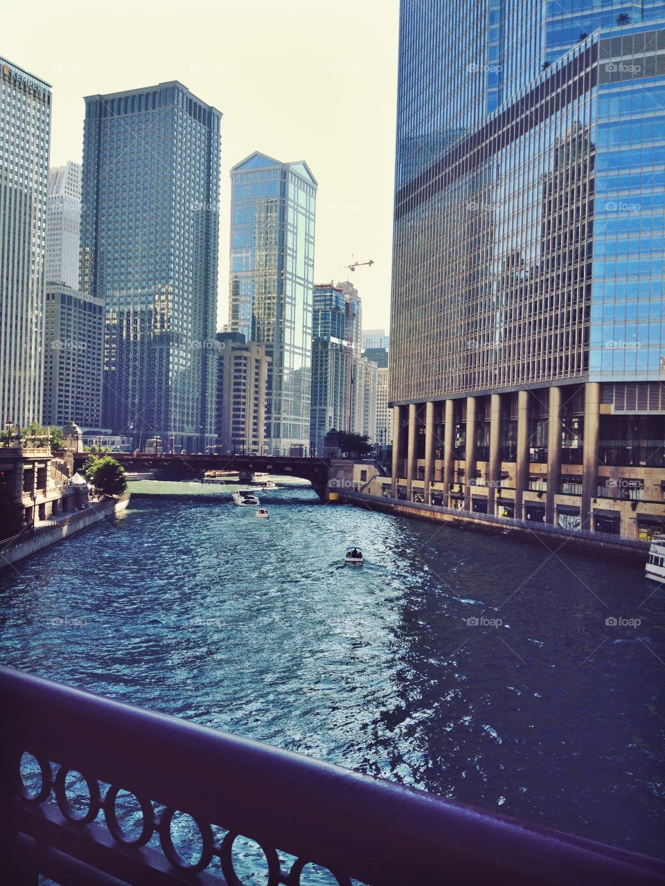 Chicago River. Taken while walking over a bridge in Chicago. 