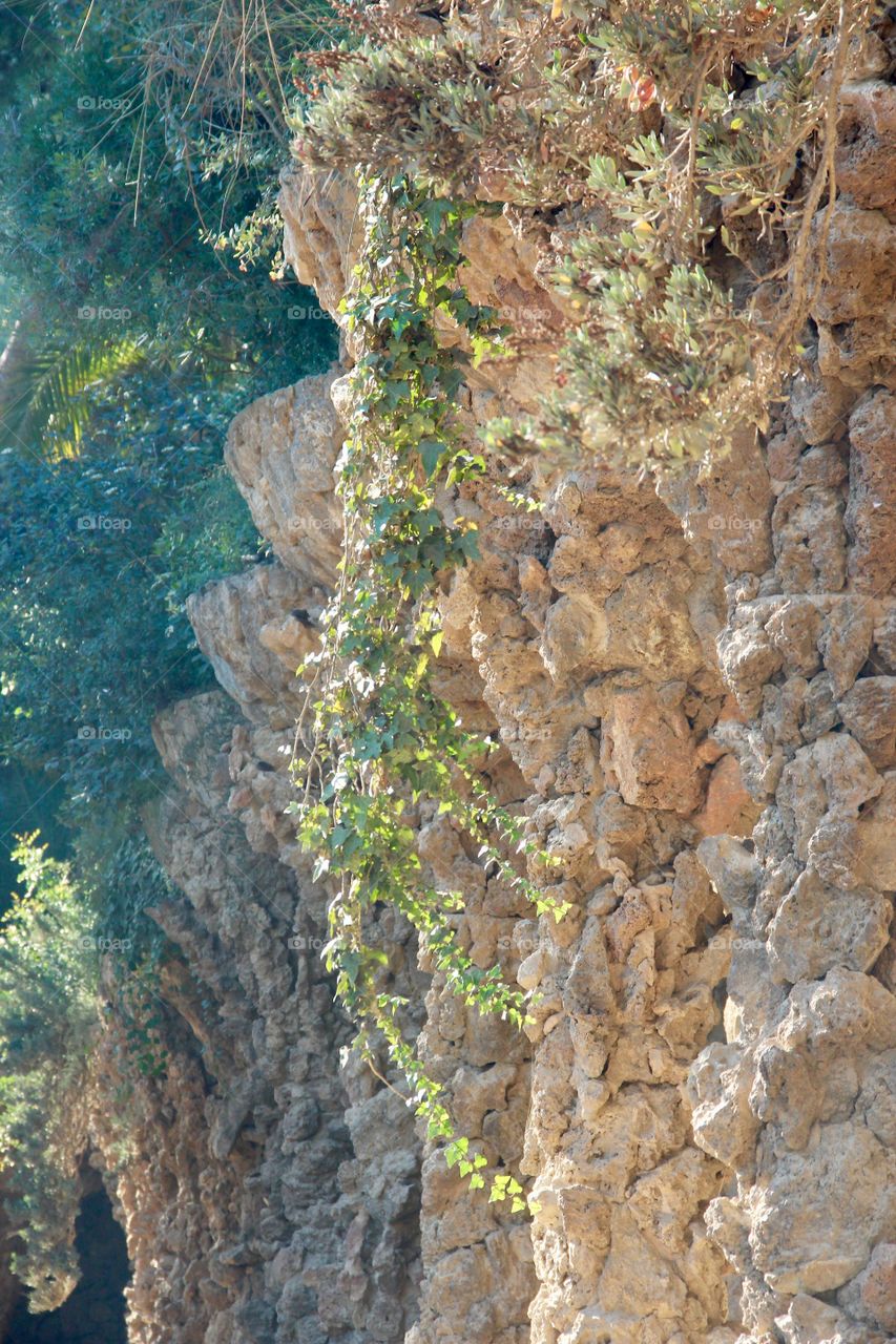 Park Guell 