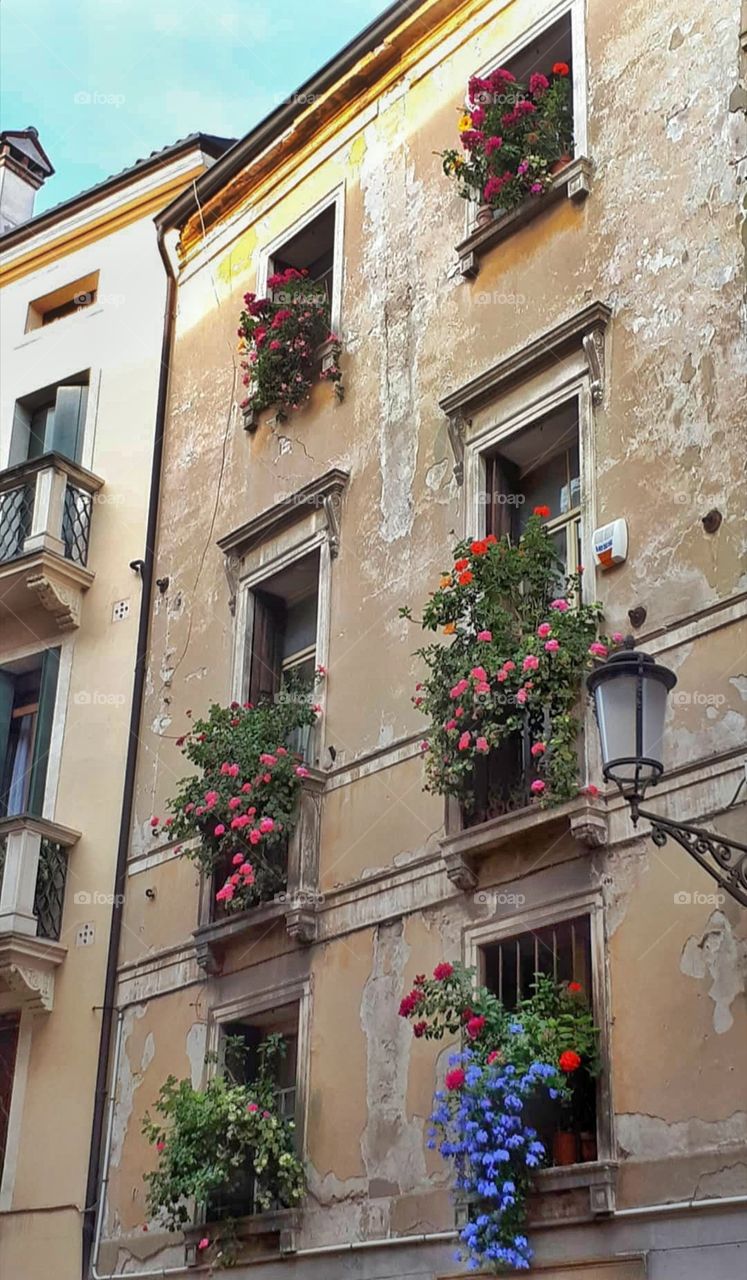 фасад дома с балконнами и цветами в Венеции