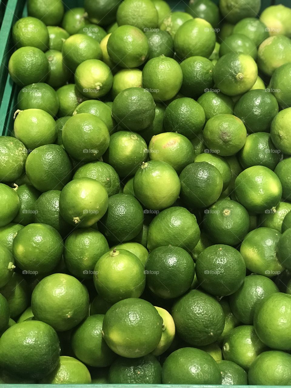 Bradley lemon of brasil