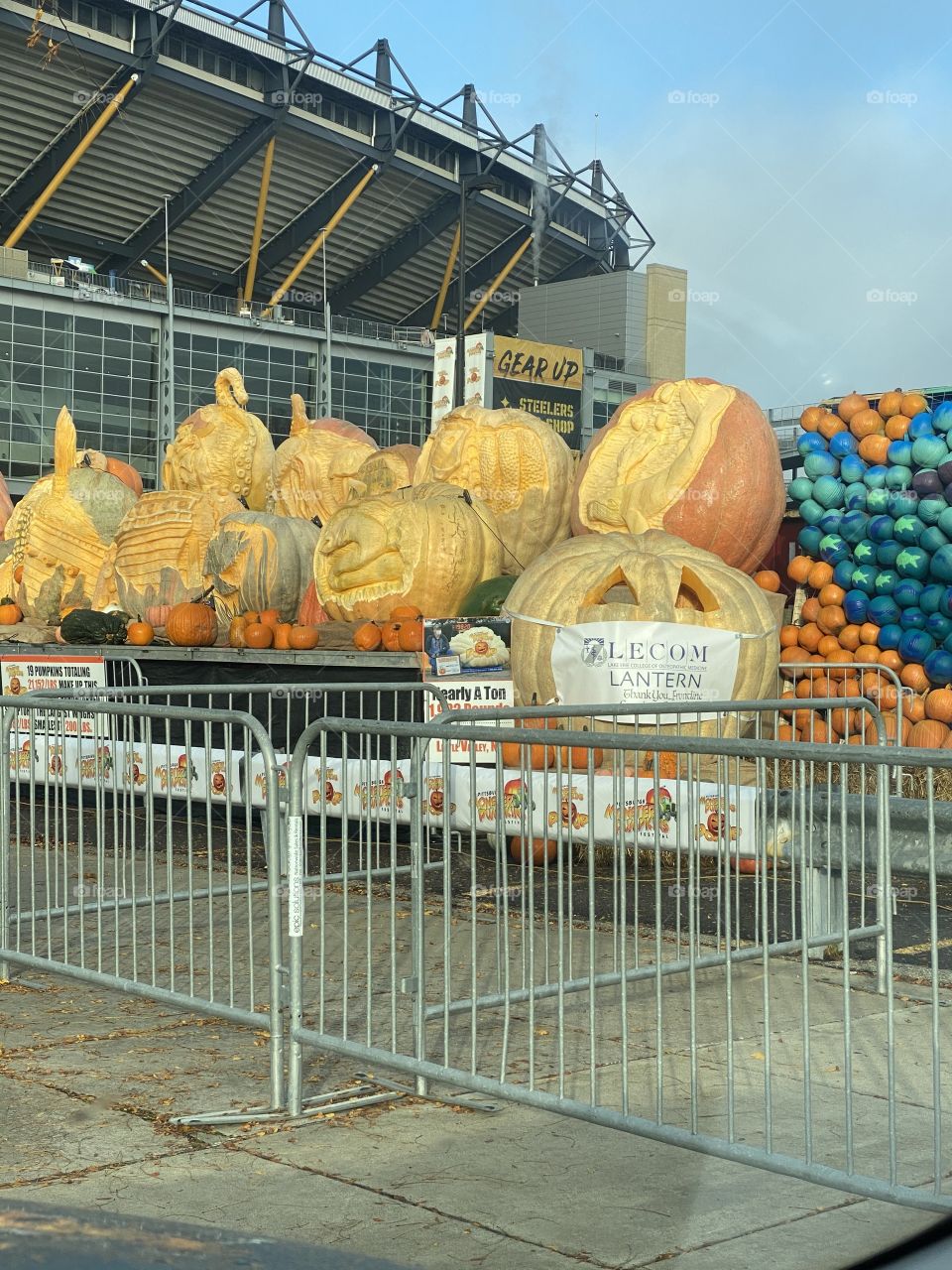 Pumpkin fest