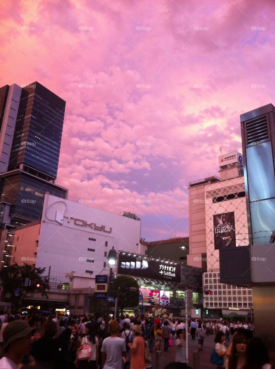 Tokyo evening sky. no filters, the sky was just a gorgeous pink.