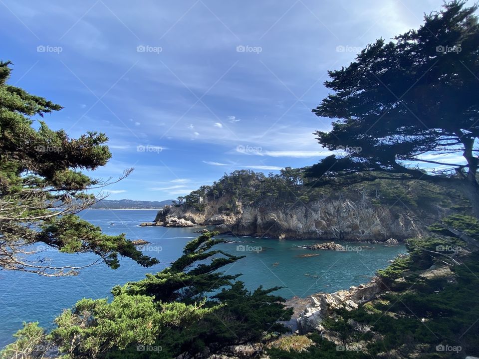 Point Lobos State Reserve