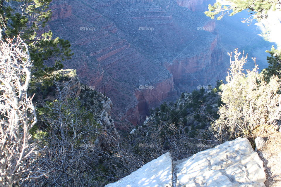Grand Canyon View