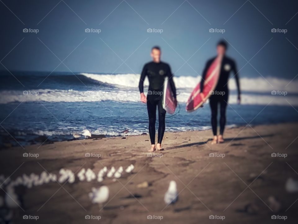 Surfers, Birds, Waves Heaven 