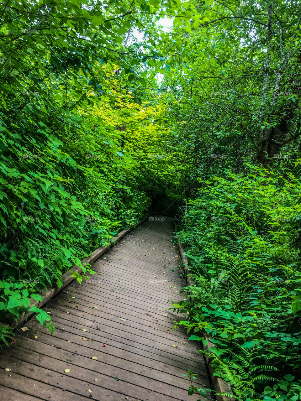 Where the Wild Things Are 