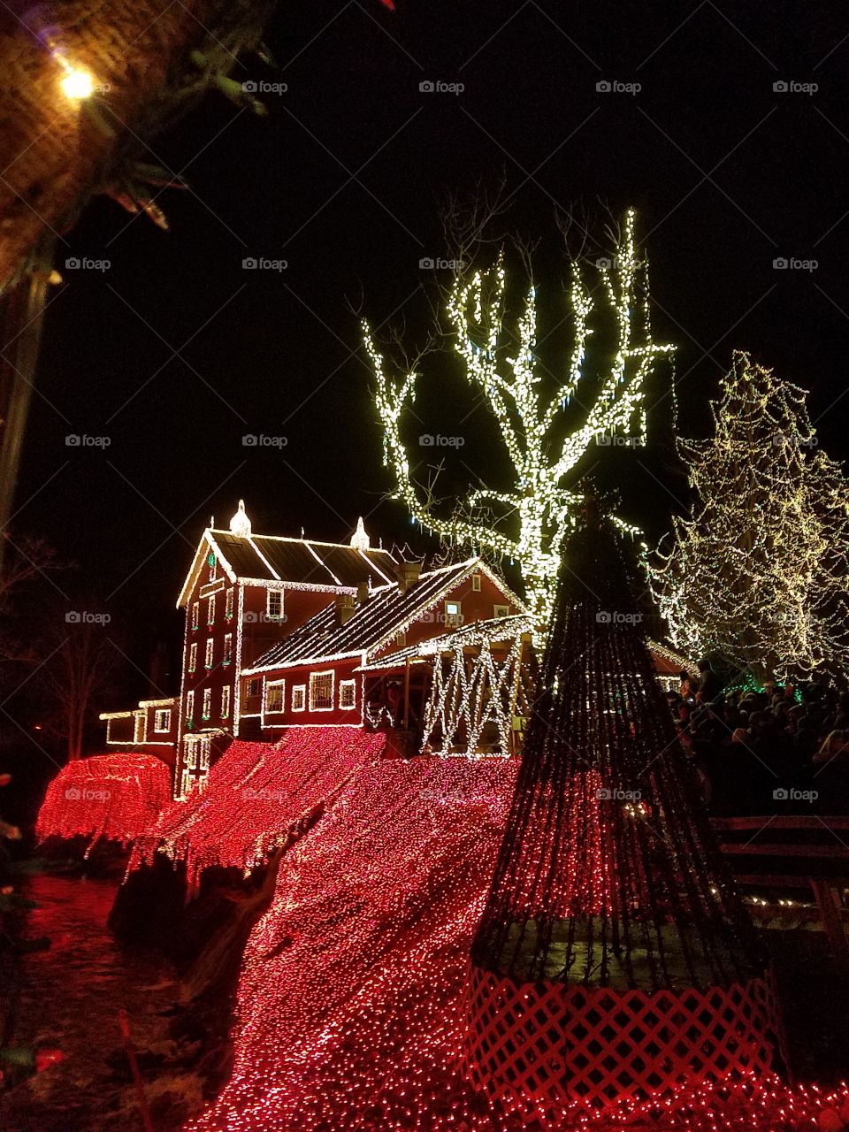 Millions of lights at Clifton Mill, Ohio