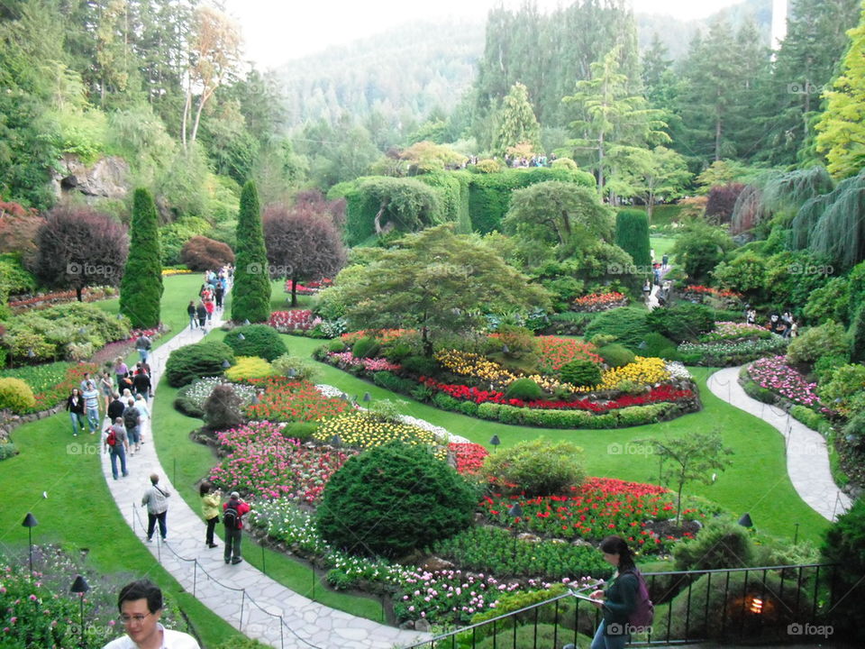 "Beautiful  Gardens in Victoria Canada "
