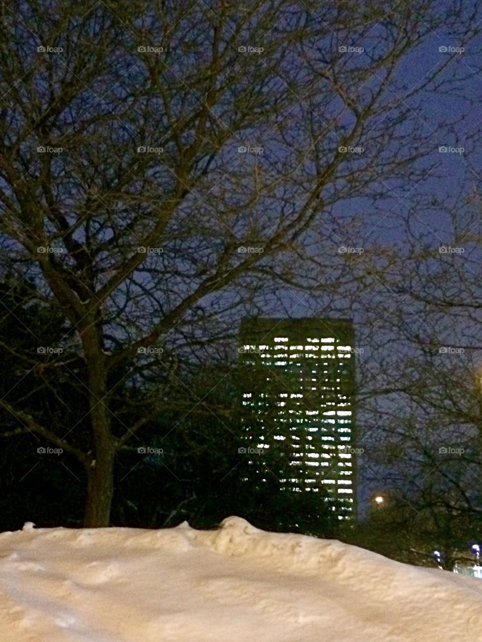 Building with lights on a winter night