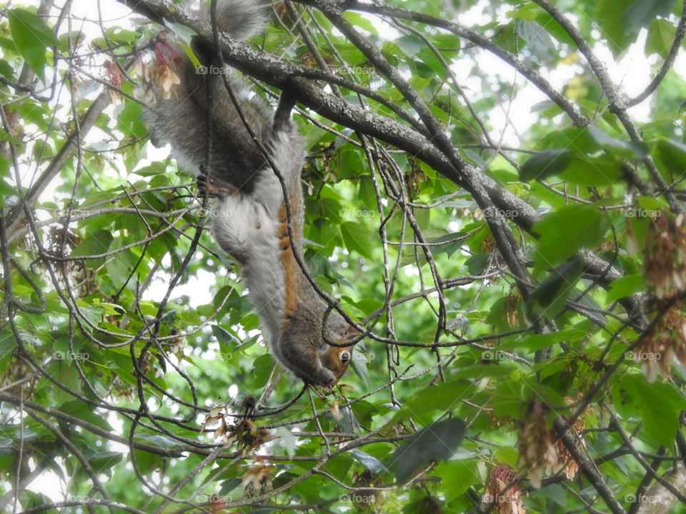 New eating trend - upside down :)