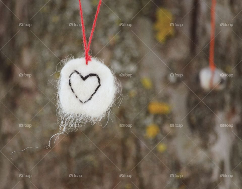 Winter, Hanging, No Person, Tree, Bird