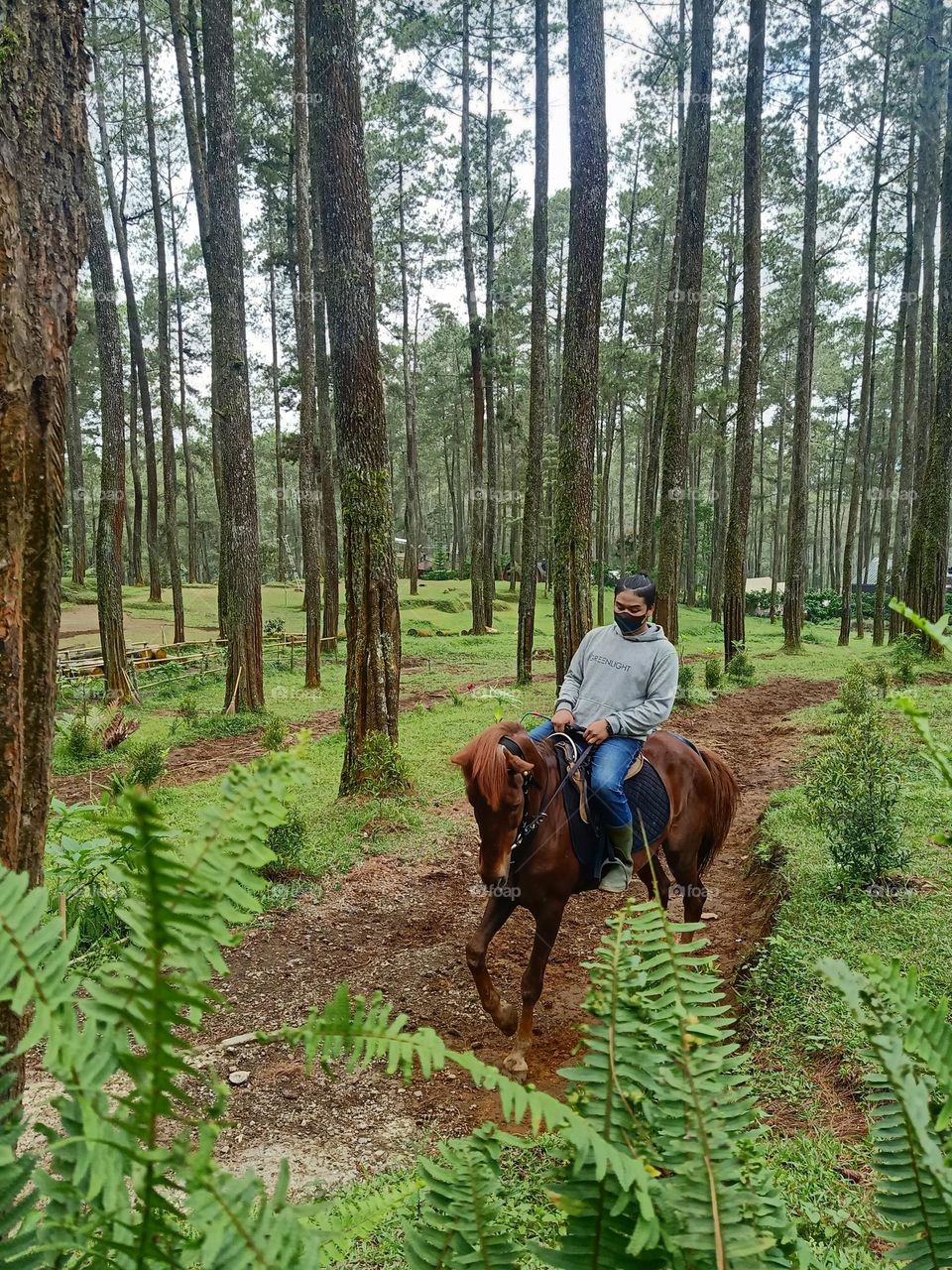 a man with his horse