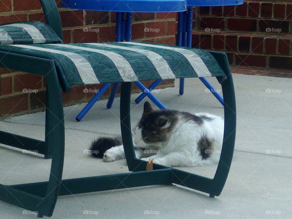 Dude on the patio