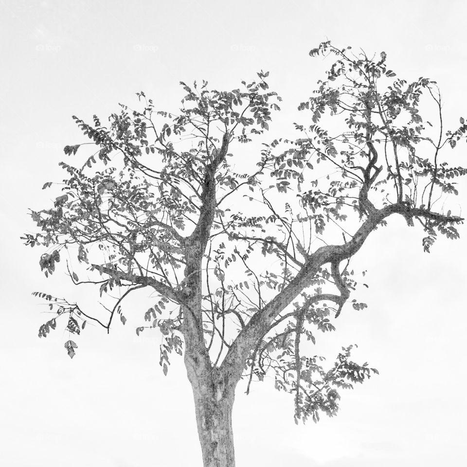 Black and white photo with “Alone” character and title