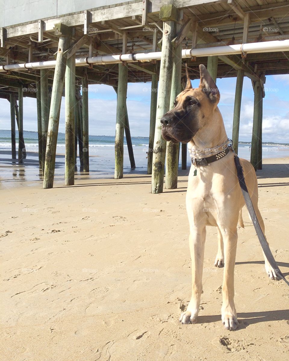 Old Orchard Beach