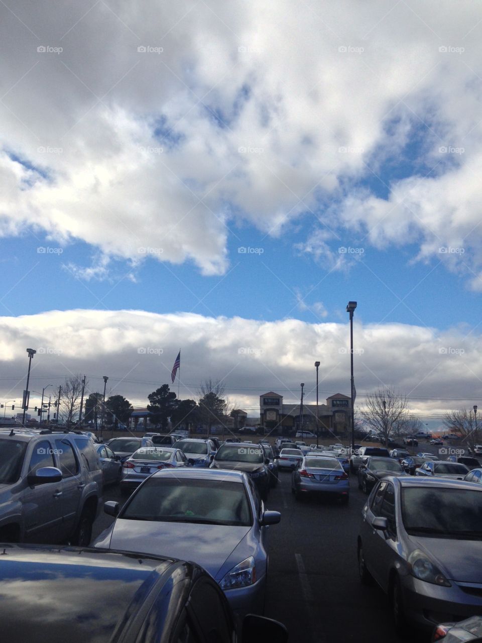 My View

Published by:
HappyBrownMonkey 