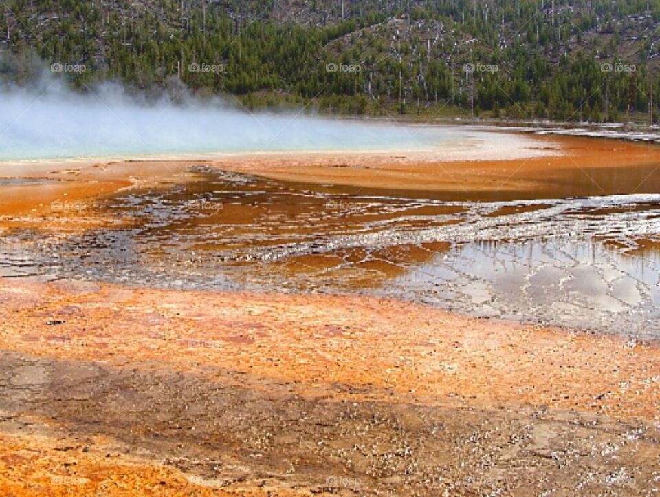 Yellowstone steam 