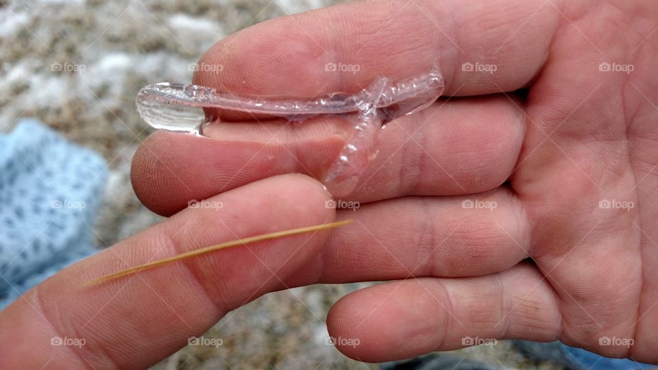 Ice on a blade of grass