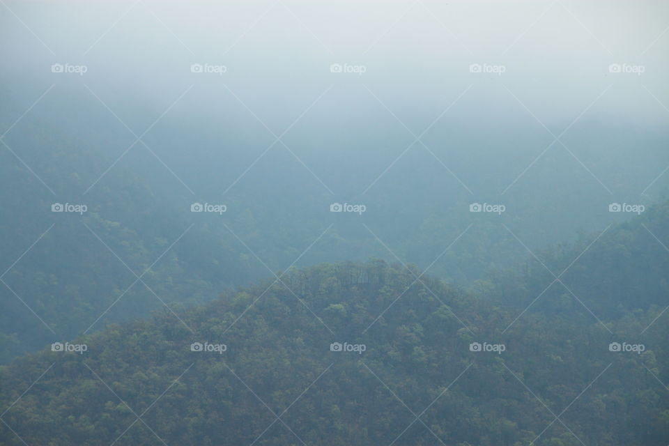 Fog in the morning in countryside Thailand.