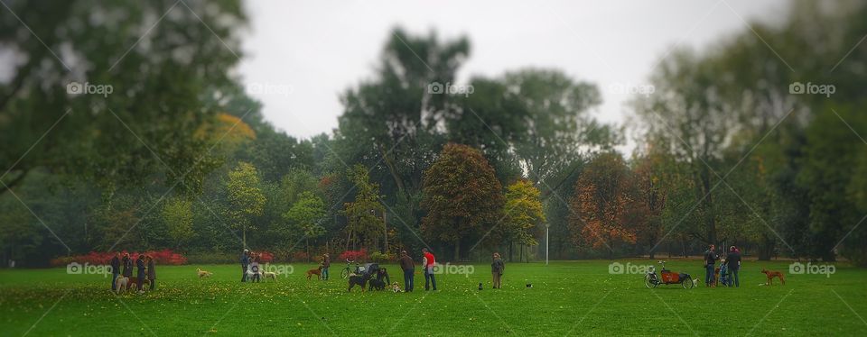 Amsterdam Vondelpark