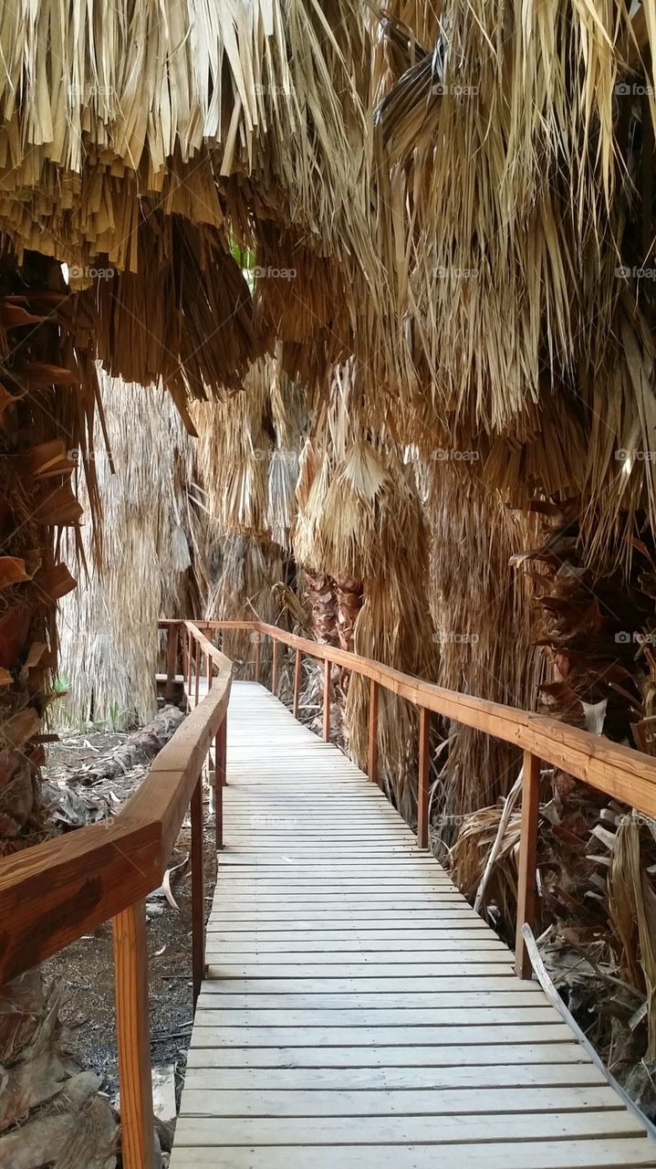 View of empty boardwalk