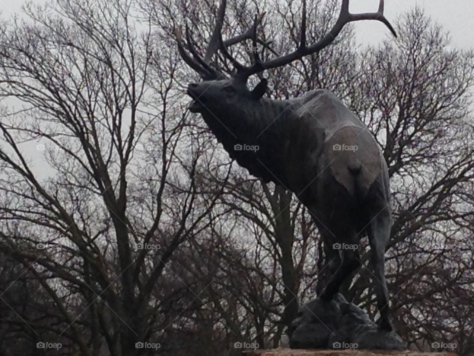 Elk statue in Pioneer Park. Lincoln, NE