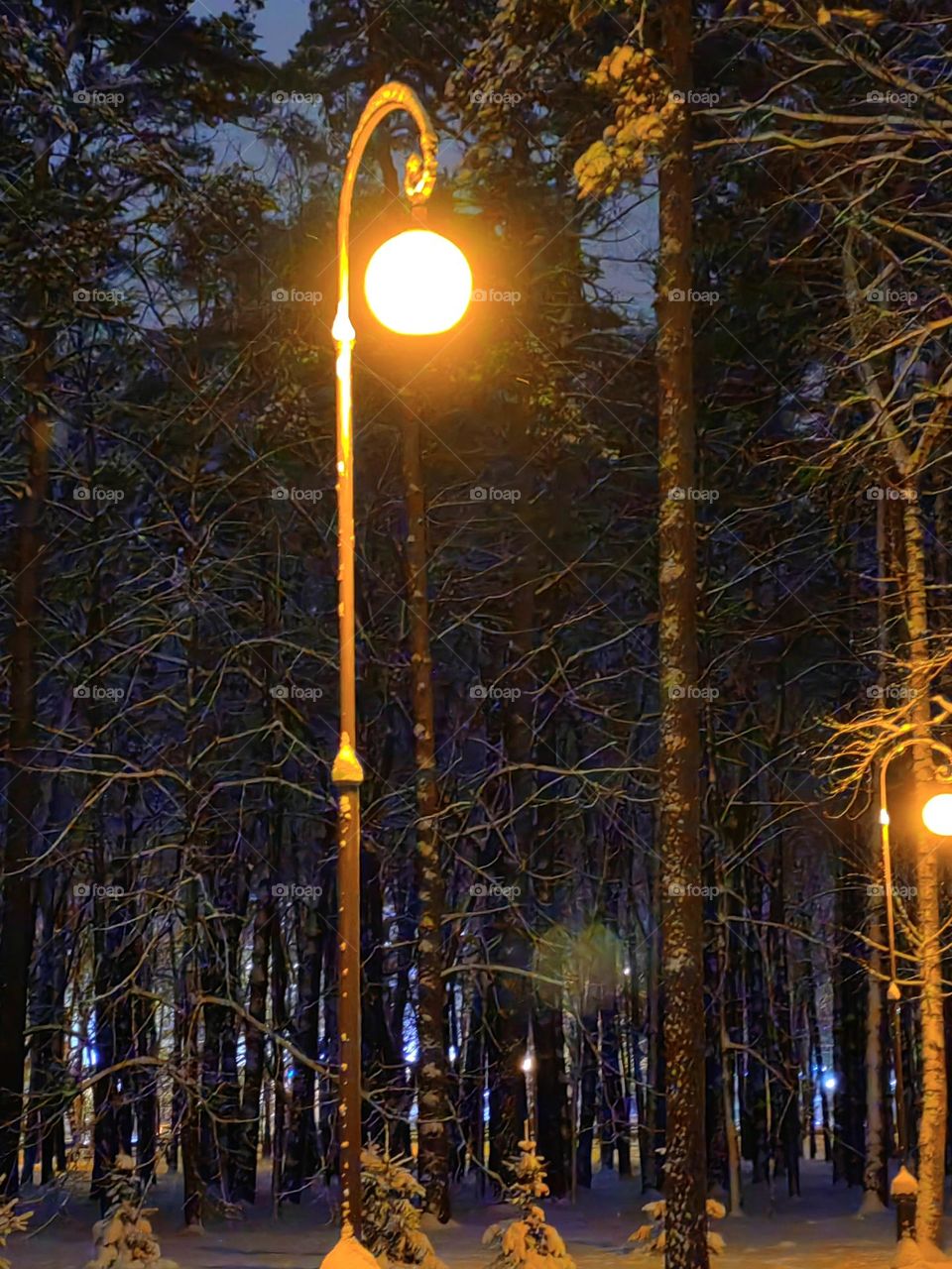 Зимний вечер