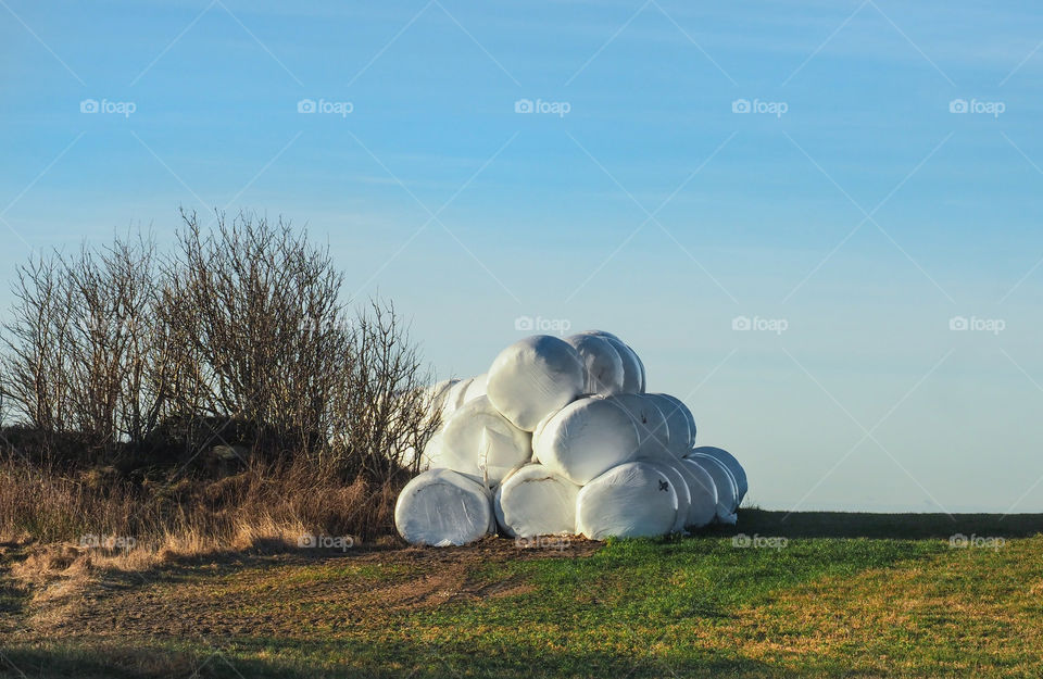 View of plastic covered hay bales on field