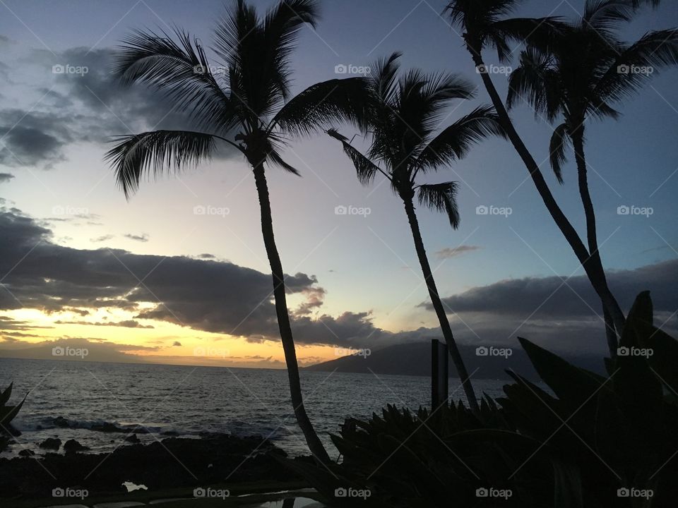 Hawaii silhouette 