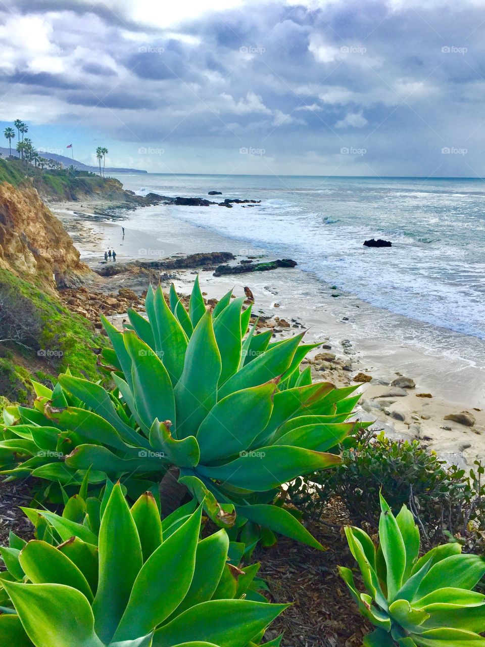 Scenic view of coastline