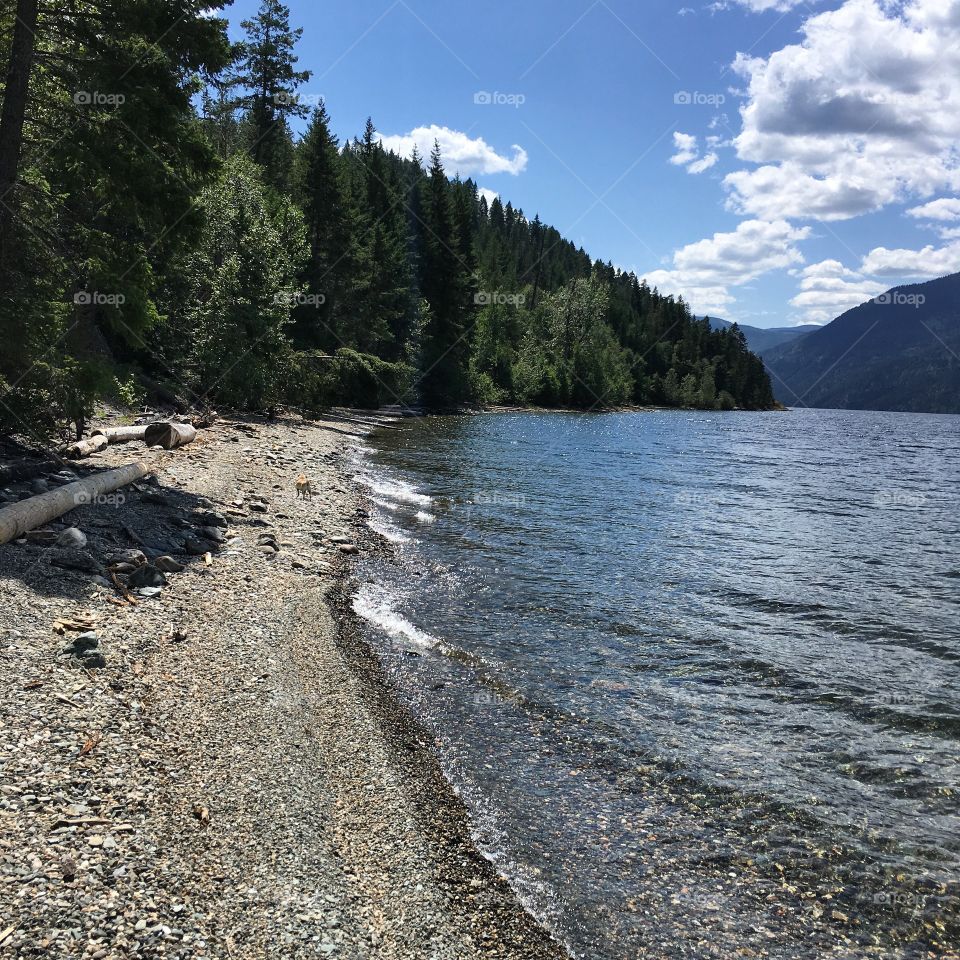 Beautiful beach exploration 
