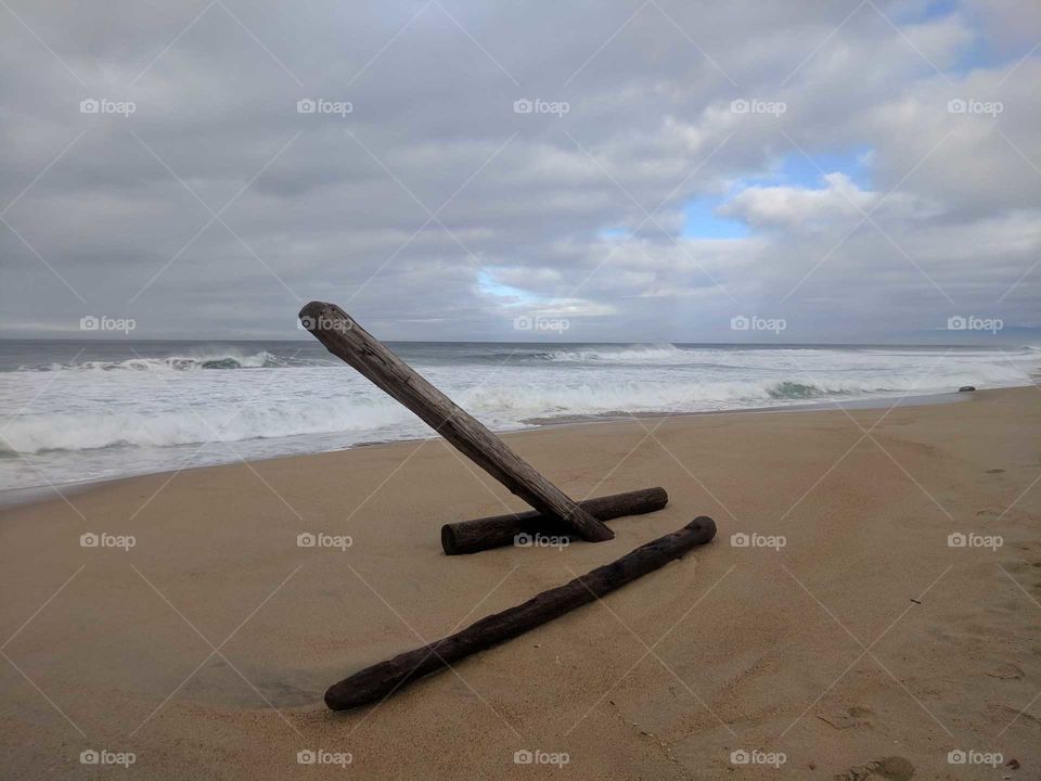 Logs on the beach