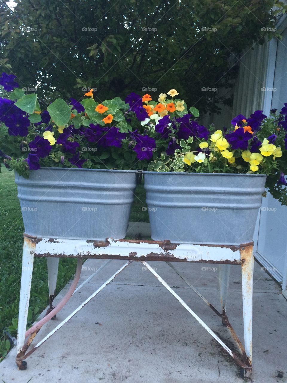 Wash day. Old wash tubs as flower planters