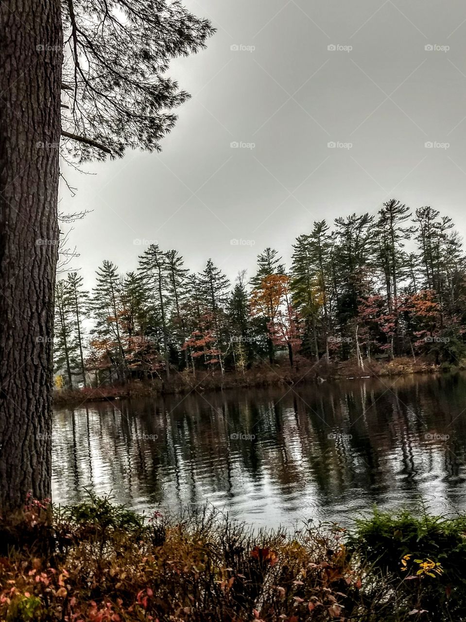 Autumn in Maine