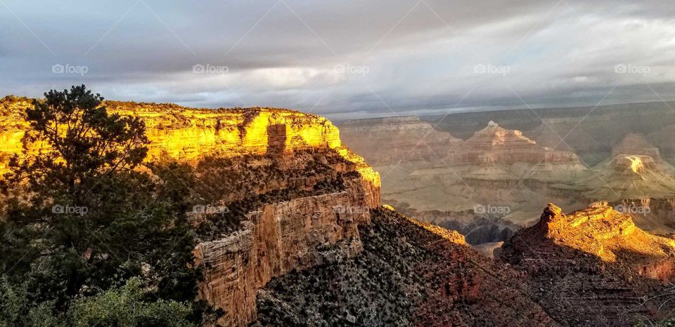 golden sunrise Grand canyon