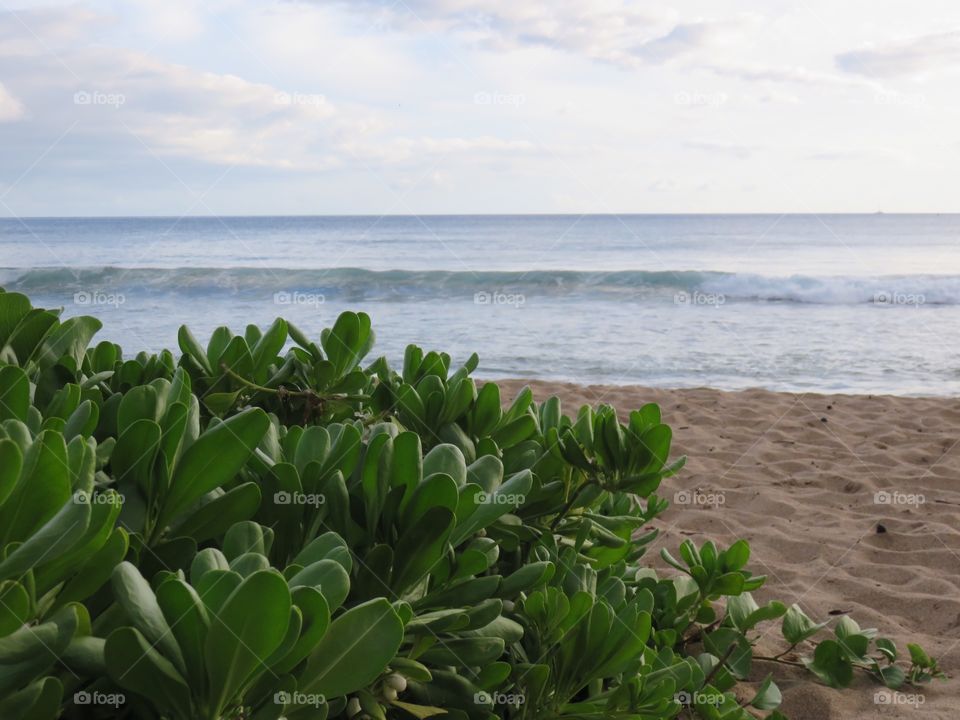 Beach waves