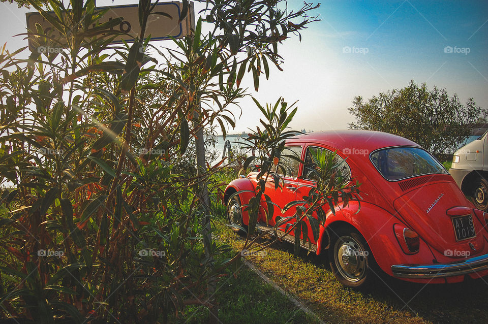 Red VW Beetle